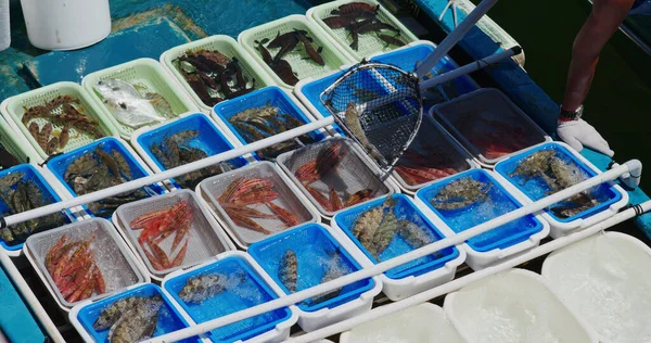 Vender Mariscos Barco Pescador — Foto de Stock