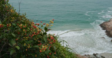 Kış zamanı deniz manzarası