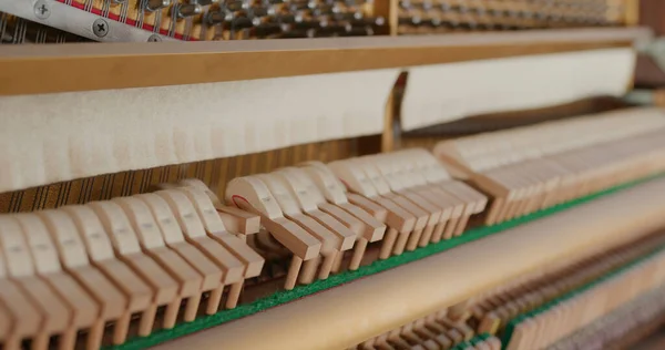 Zongora Kalapácsok Ütik Húrokat — Stock Fotó