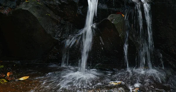 Floden Cascade Tropisk Skog — Stockfoto