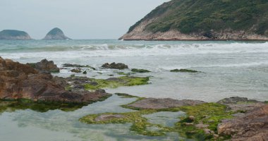 Deniz dalgası ve tropikal ada