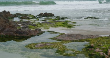 Deniz dalgası ve tropikal ada