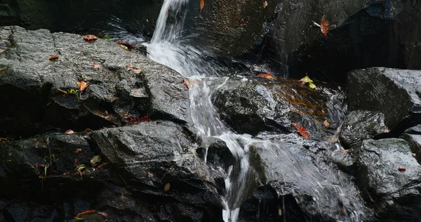 Cachoeira Que Flui Penhasco Floresta — Fotografia de Stock