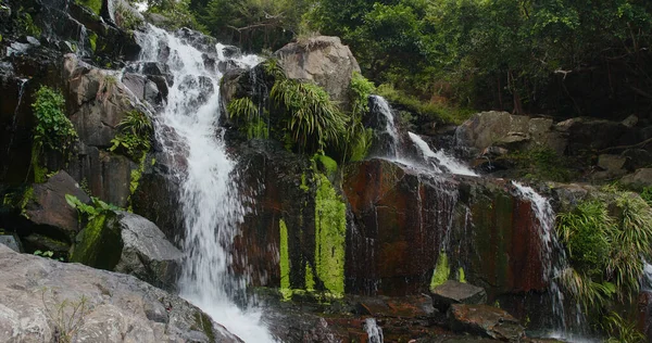 Cascade Waterval Rivier Tropisch Bos — Stockfoto