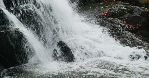 Cascada Río Cascada Bosque Tropical — Foto de Stock