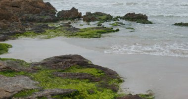 Deniz dalgası sahildeki kayalara vuruyor.