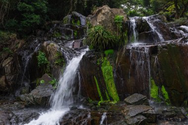 Tropikal ormanda çağlayan şelale nehri