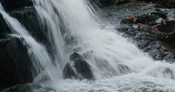 Cascada Río Cascada Bosque Tropical — Foto de Stock