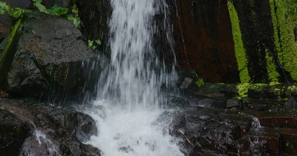 Vízesés Trópusi Erdőben — Stock Fotó