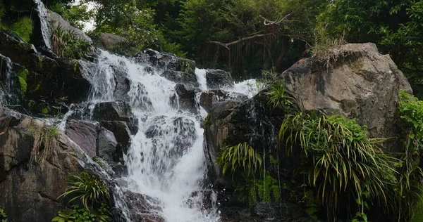 Tropikal Ormanda Çağlayan Şelale Nehri — Stok fotoğraf