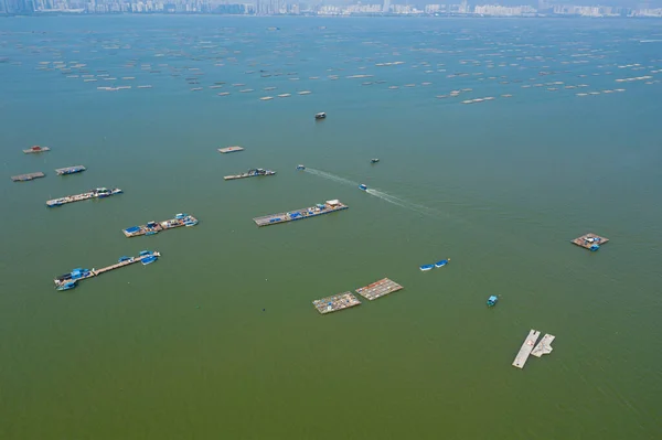 Yuen Long Lau Fau Shan Oesterkwekerij Hong Kong — Stockfoto