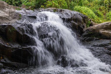 Tropikal ormanda çağlayan şelale nehri