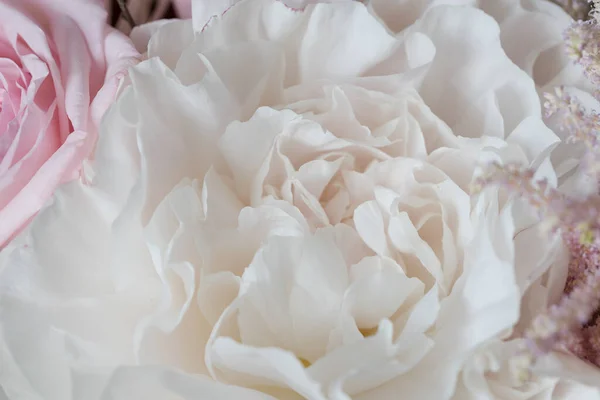 Hermoso Ramo Flores Peonía Blanca — Foto de Stock