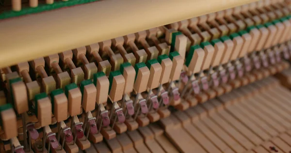 Piano Hammers Hit Strings — Stock Photo, Image