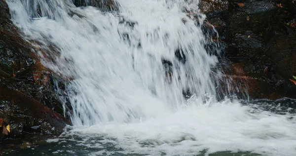 Каскадная Река Водопада Тропическом Лесу — стоковое фото