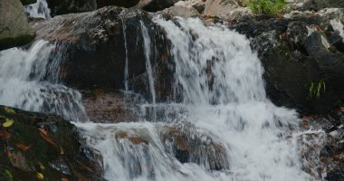 Tropikal ormanda çağlayan şelale nehri