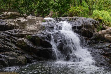Yağmur ormanlarında güzel şelale