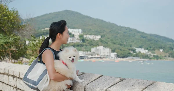Женщина Обнимает Свою Собаку Парке — стоковое фото