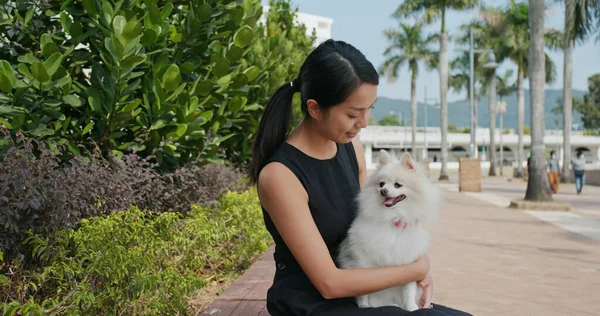 Mulher Sair Com Seu Cão Parque — Fotografia de Stock