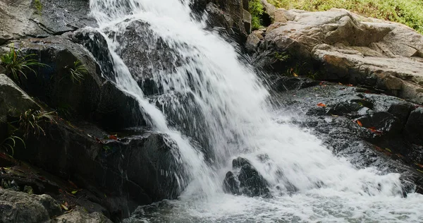 Cascade Coulant Falaise Dans Forêt — Photo