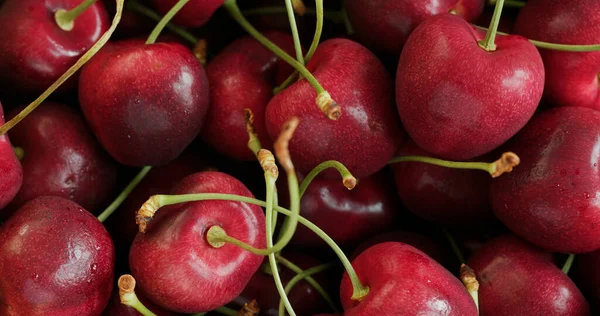 Fresh Juicy Red Cherry Berry — Stock Photo, Image