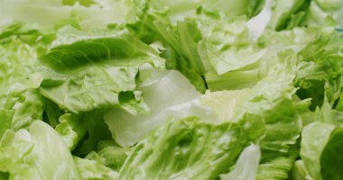 Taze çiğ marul salatası