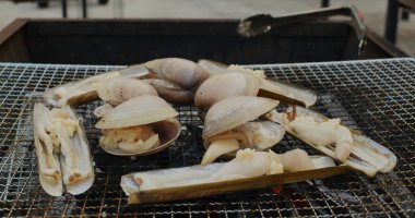 Taze boyunlu midye ve ızgara ağında Jilet.