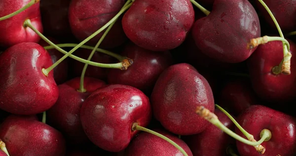 Fresh Juicy Red Cherry Berry — Stock Photo, Image