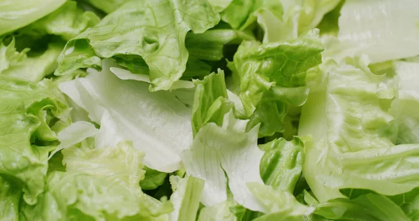 新鲜生菜绿叶沙拉 — 图库照片
