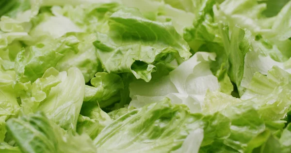 Fresh Lettuce Green Leave Salad — Stock Photo, Image