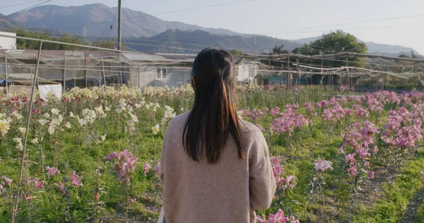 Kvinna Besöker Hong Kong Lilja Blomma Gård — Stockfoto
