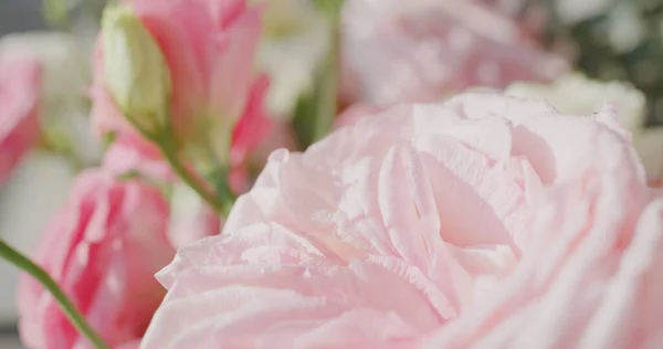 Piękny Bukiet Kwiatów Domu — Zdjęcie stockowe