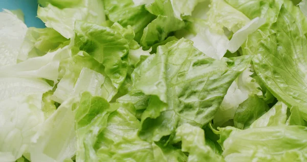 新鲜生菜绿叶沙拉 — 图库照片