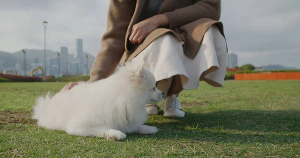 Mulher Abraçar Seu Cão Parque — Fotografia de Stock