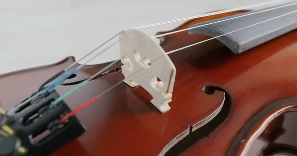 Violin String Bridge Close — Stock Photo, Image