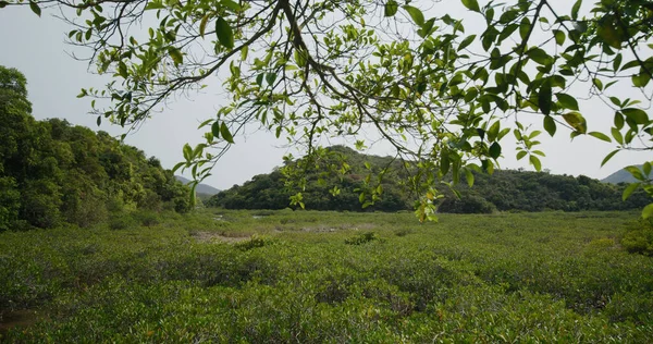 Yim Tin Tsai Sai Kung — Foto Stock