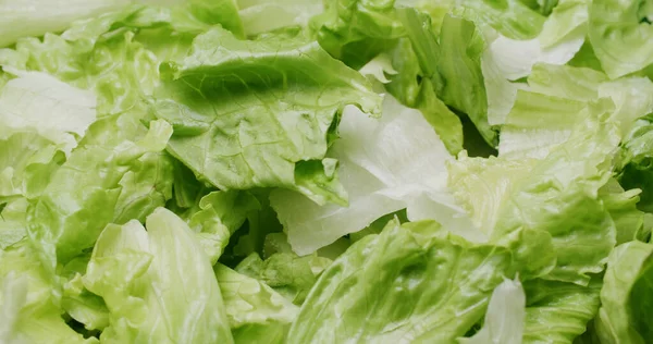 Čerstvý Salát Listového Salátu — Stock fotografie