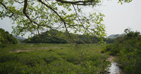 Yim Tin Tsai Sai Kung — Foto de Stock