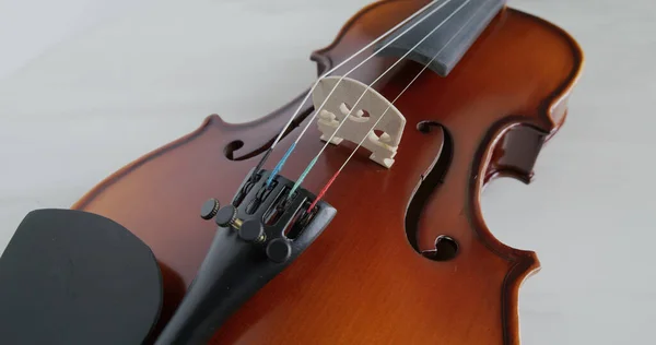 Violin Sträng Och Bro Närbild — Stockfoto