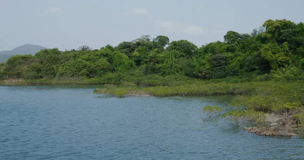 Sai Kung Yim Tin Tsai — Stok fotoğraf