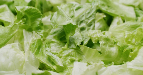 Lechuga Fresca Ensalada Hojas Verdes — Foto de Stock