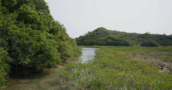 Yim Tin Tsai Sai Kung — Stock fotografie