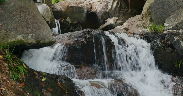 Cascade Waterfall River Tropical Forest — Stock Photo, Image