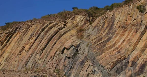 Гонконгский Графический Парк Сай Кунг — стоковое фото