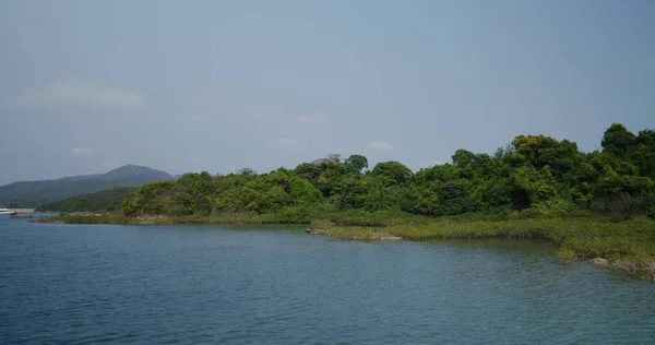 Campo Com Montanha Mar — Fotografia de Stock