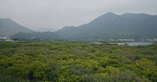 Góra Morze Tai — Zdjęcie stockowe
