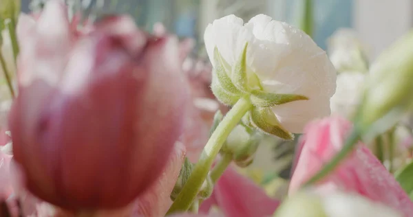 Beau Bouquet Fleurs Maison — Photo