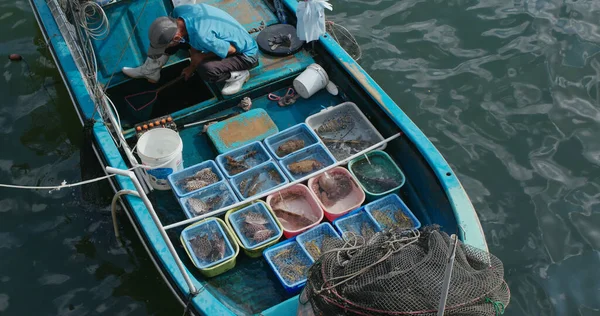 Sai Kung Hong Kong September 2020 Sell Seafood Fisherman Boat — Stock Photo, Image