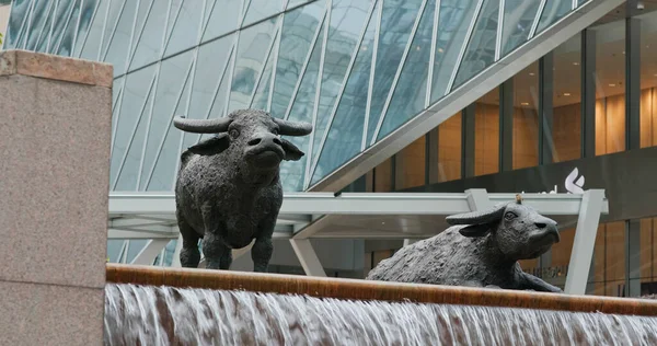 Central Hong Kong December 2020 Two Buffalo Statues Exchange Square — Stock Photo, Image