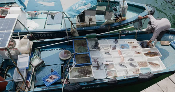 Sai Kung Hong Kong Mart 2021 Deniz Ürünleri Satan Balıkçı — Stok fotoğraf